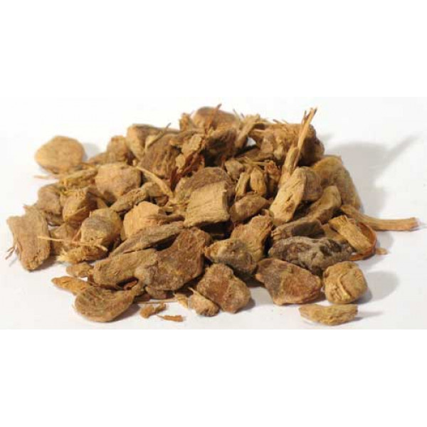 Galangal Root cut "Chewing John" 1oz (Alpinia species)