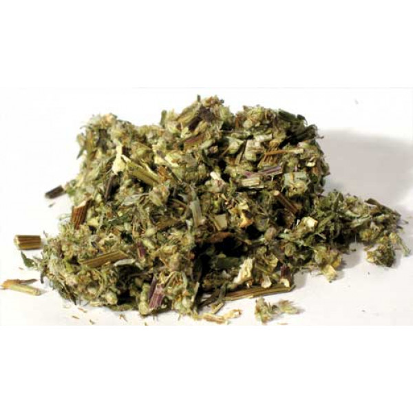 Mugwort cut 2oz (Artemisia vulgaris)